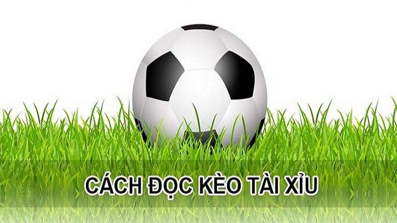 Cách chơi kèo tài xỉu